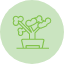 bonsai-feng-shui-nature-plant-pot-zen-icon