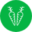carrots-food-healthy-plants-vegetable-veggies-icon