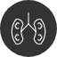 anatomy-kidneys-nephron-organ-renal-icon