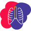 thorax-xray-diagnostic-fluorography-radiation-icon-vector-design-icons-icon