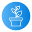 plant-growth-ecology-green-nature-icon