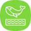 shark-fish-animal-sea-ocean-whale-fin-icon