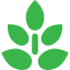 leaf-leaves-nature-plant-tree-icon