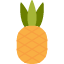 pineapple-fruit-ananas-tropical-summer-icon