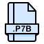 p-b-file-format-extension-document-icon