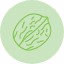 walnut-kernel-nut-food-organic-snack-icon