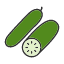 cucumber-cucumiform-pickling-seedless-slicing-vegetable-gardening-icon