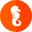 seahorse-icon