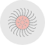 anemone-flower-spring-flowers-icon