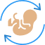 baby-rotation-pregnancy-pregnant-women-icon