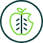 apple-education-learning-school-teach-teacher-icon