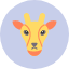 giraffe-nature-wild-wildlife-zoo-icon-icon