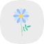 beautiful-daisy-flower-green-nature-petals-spring-icon