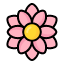 dahlia-flower-plant-blossom-garden-floral-nature-icon