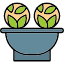 cabbage-water-plant-light-icon
