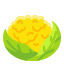 cauliflower-vegetable-food-organic-vegetarian-icon