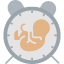 baby-birth-child-delivery-mother-pregnancy-icon