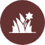 botany-ecology-garden-grass-meadow-nature-plant-icon