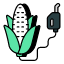 corn-fuel-biofuel-corn-petrol-ethanol-fuel-corn-petroleum-icon