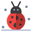 autumn-beetle-bug-thanksgiving-winter-icon