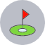 athletics-flag-game-golf-green-hole-sport-icon