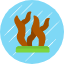 seaweed-icon