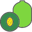 food-fruit-fruits-healthy-kiwi-icon