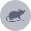 mouse-animal-furry-mice-rat-icon