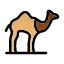 animal-camel-desert-dromedary-journey-mammal-zoo-icon
