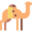 camel-icon