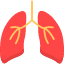 air-anatomy-lungs-organ-respiration-icon