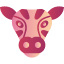 zebra-animal-cute-face-head-horse-portrait-icon-icon