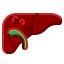 digestive-health-hematology-liver-organ-surgery-icon