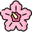 hibiscus-icon