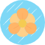 nasturtium-flower-blossom-floral-nature-flowers-icon