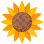 sunflowerflower-plant-farming-gardening-botanical-blossom-petals-nature-icon