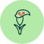 calla-lily-blossom-fragrant-flora-icon