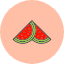 fruit-tropical-watermelon-slice-icon