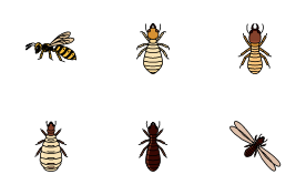 Insects