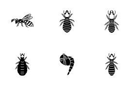Insects