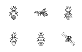 Insects