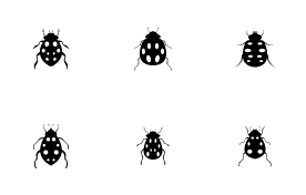 Ladybug icon set