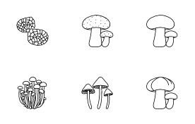 Mushrooms